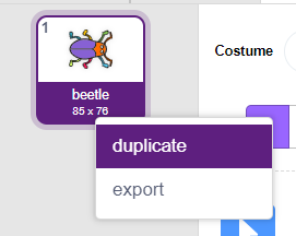 beetle sprite duplicate