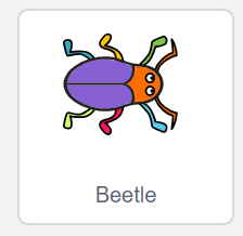 beetle